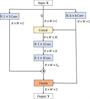 An Attention-Based CoT-ResNet With Channel Shuffle Mechanism for Classification of Alzheimer’s Disease Levels